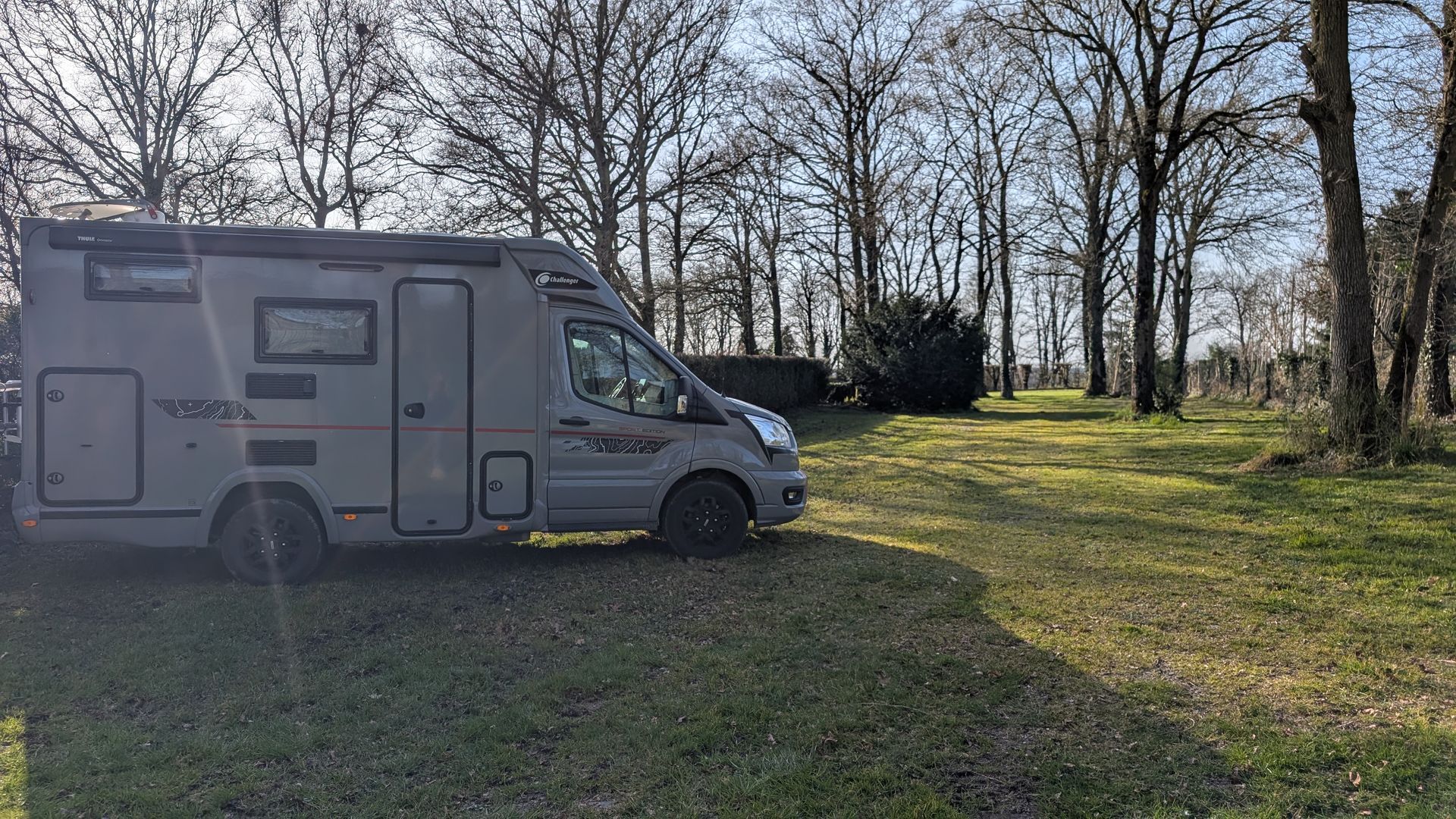 Un camping-car garé sur une clairière herbeuse, à côté d'arbres dénudés, au soleil.