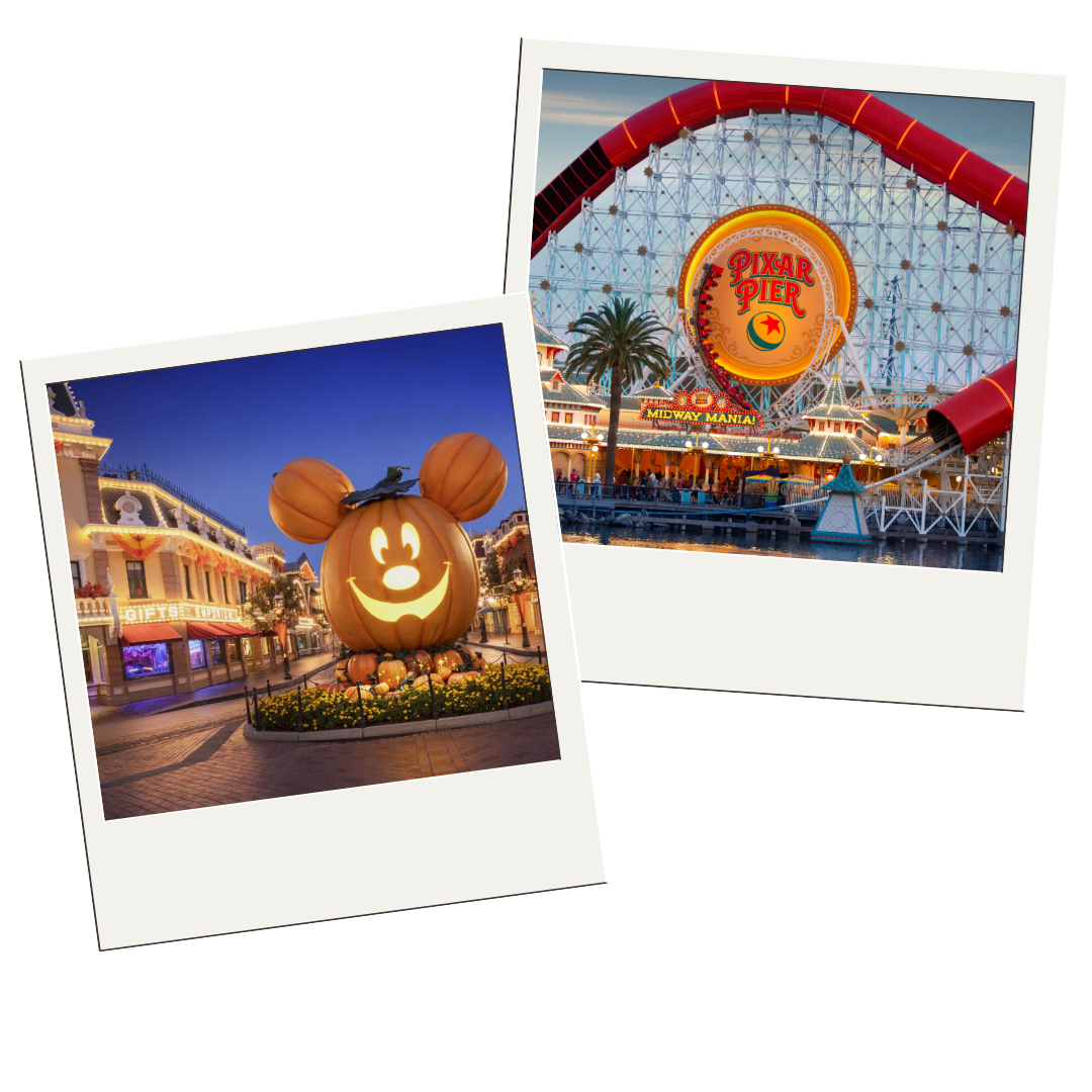 Pixie Dust Disney Vacation Planners | Universal Resorts Travel Agency