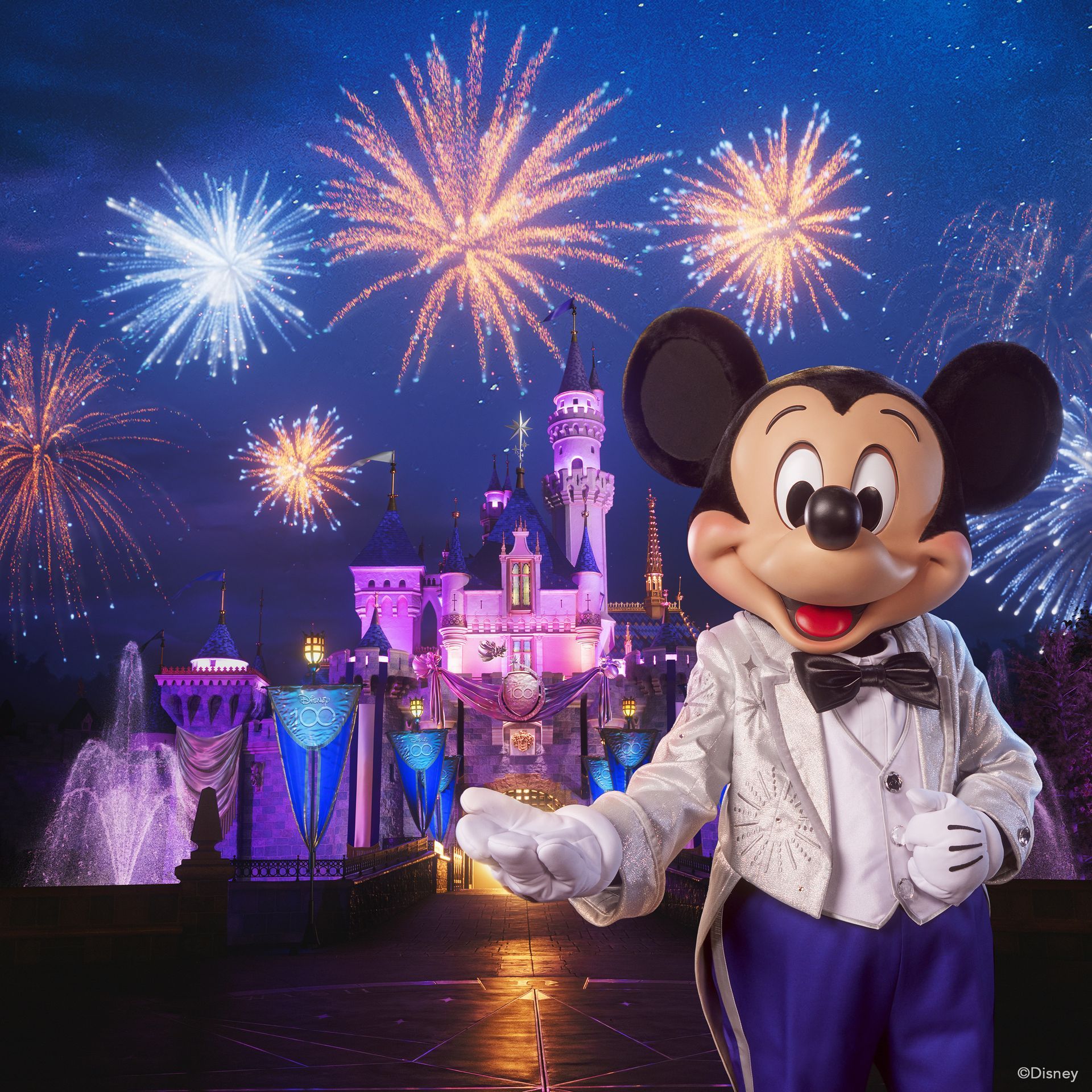 Disneyland fireworks with Mickey Mouse | Travel with Pixie Dust Vacation Planners