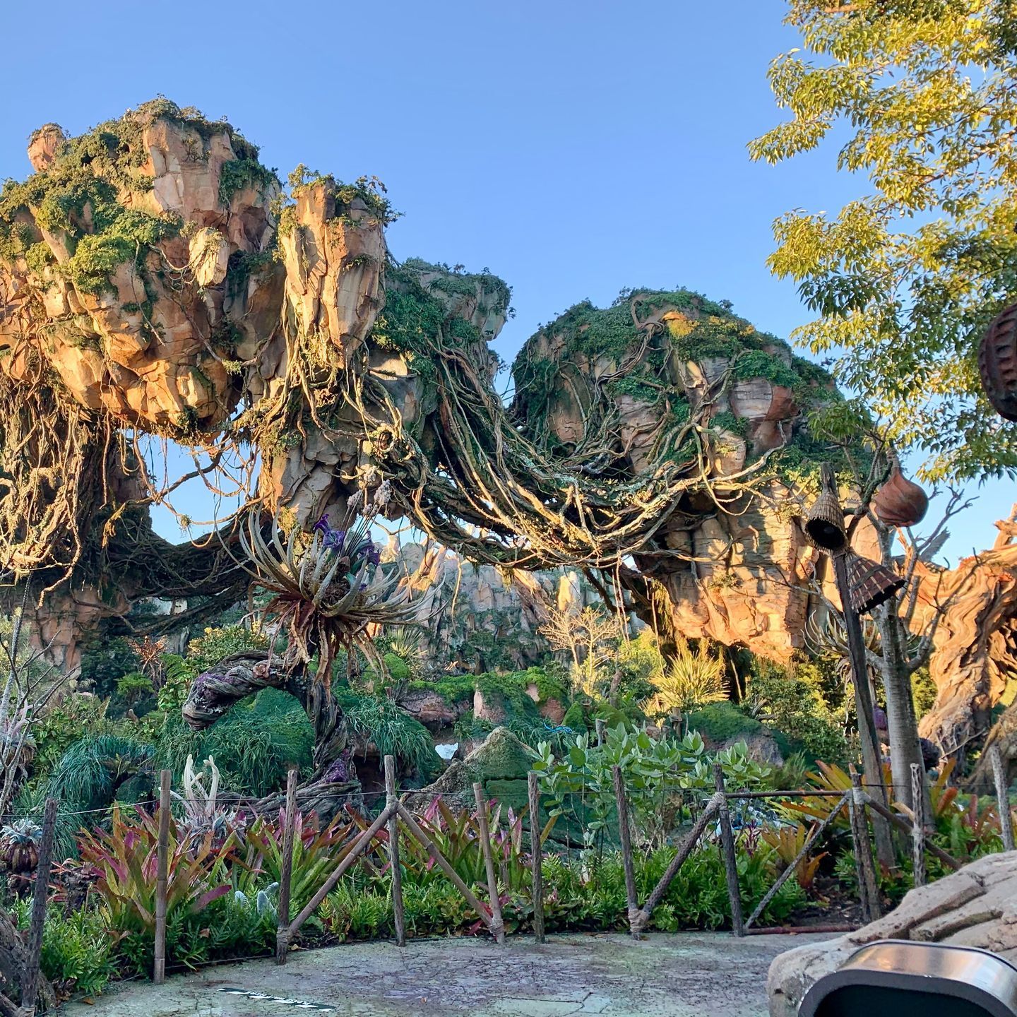 Disney Vacation Travel Agent | Amanda Saylor