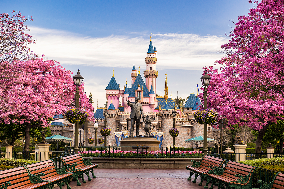 Walt Disney World Vacation Planners | Disneyland Castle
