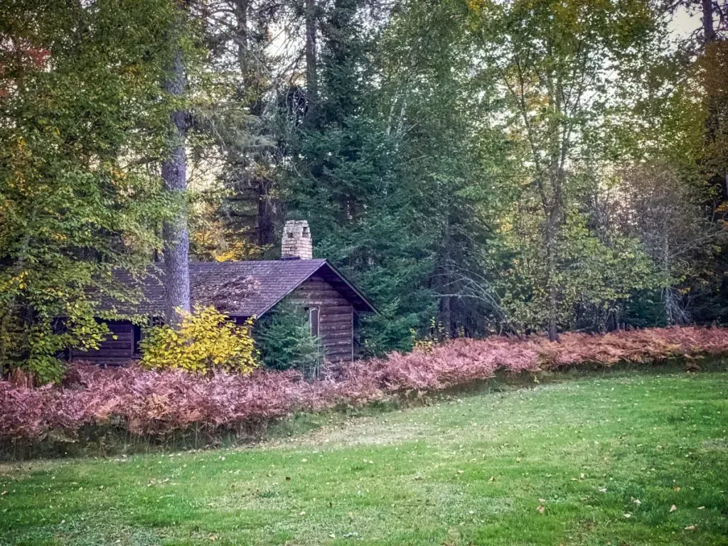 A small log cabin in the middle of a lush green field surrounded by trees.