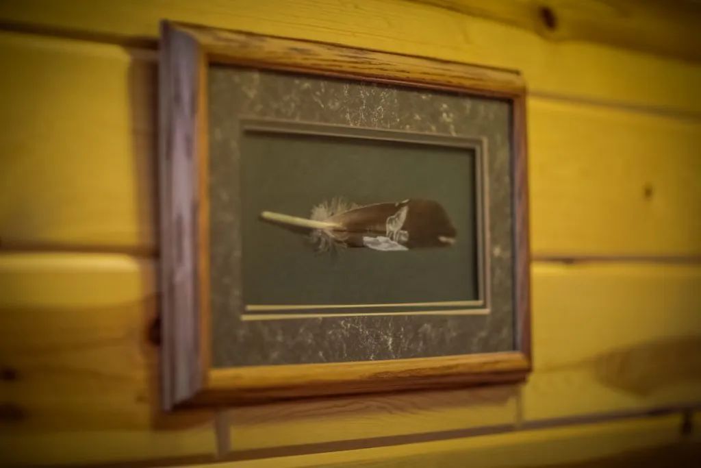 A picture of a feather in a wooden frame is hanging on a wooden wall.