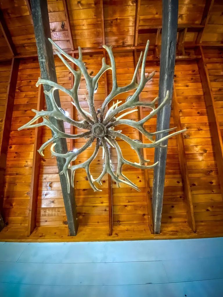 A chandelier made of antlers is hanging from the ceiling of a wooden building.