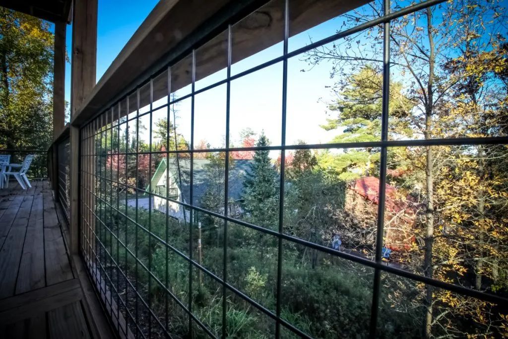 A view of a forest through a glass fence.