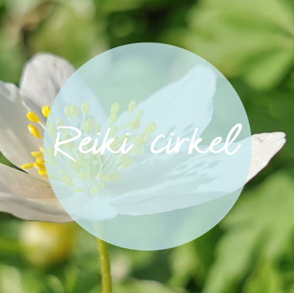 Spark of light: Reiki cirkel, omgeving Gorinchem