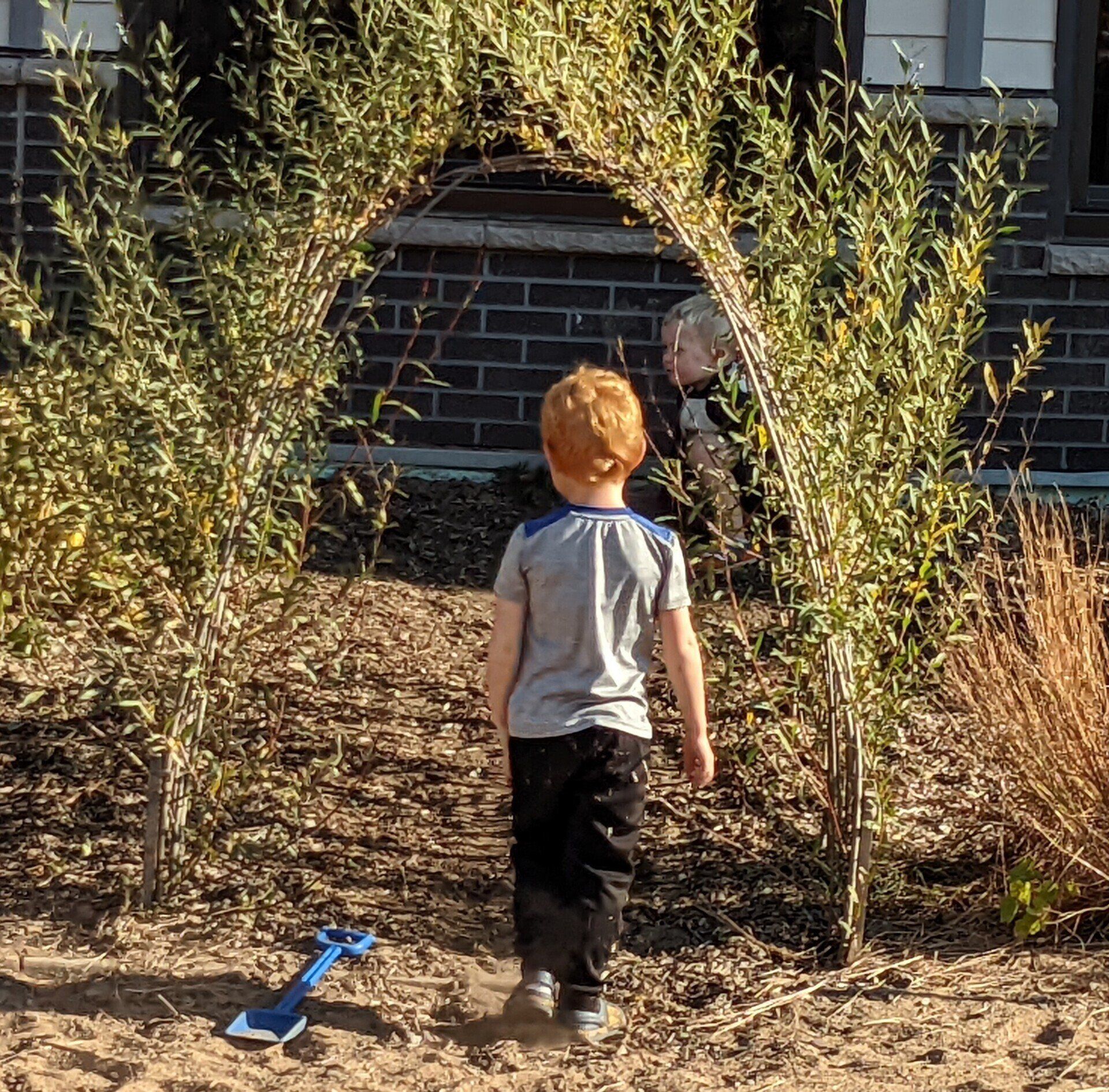 Playing in backyard