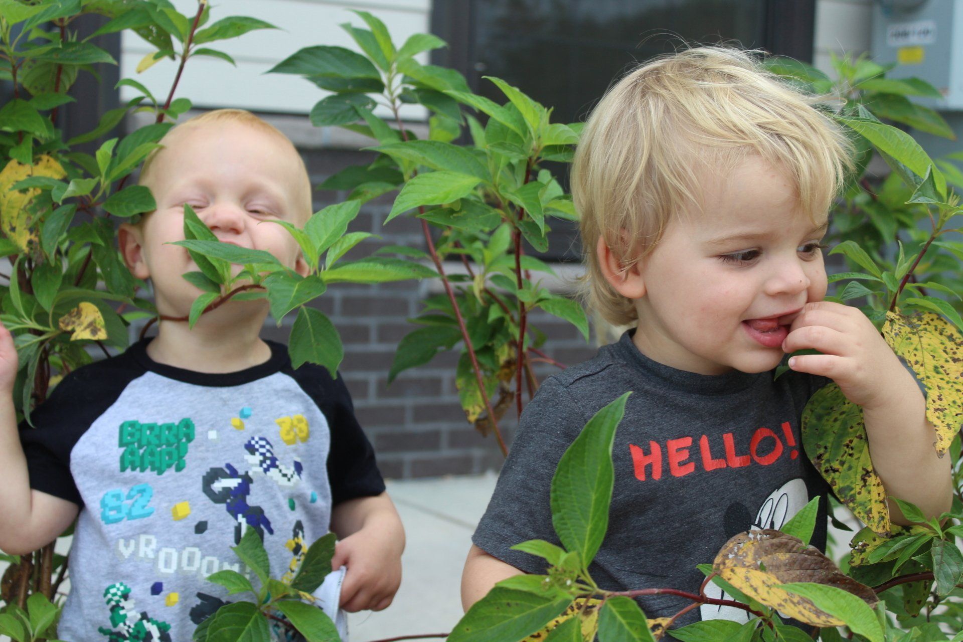Kids playing