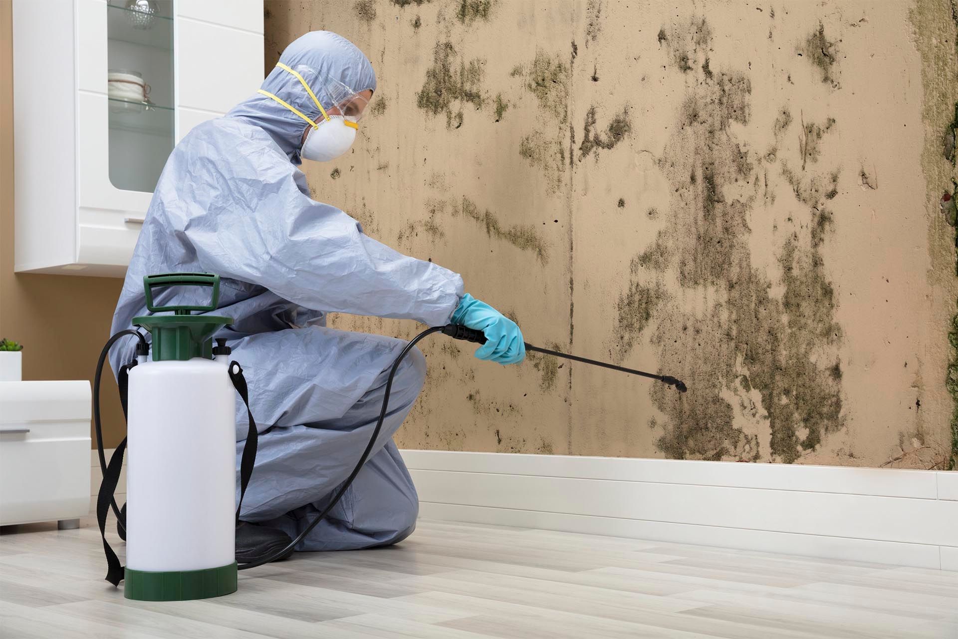 A man in a protective suit is spraying mold on a wall.