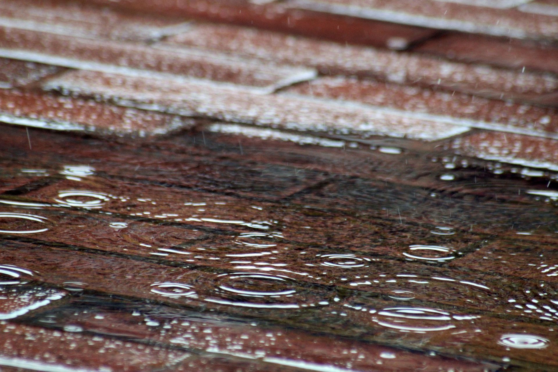 Professional mold removal specialist disinfects and applies antimicrobial treatment to prevent mold growth in a house.