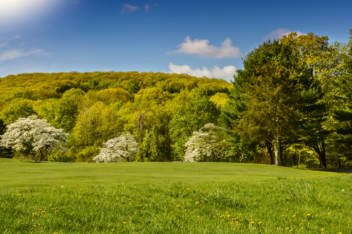 Machinery Moving in Fairfield, CT - Mariano Brothers