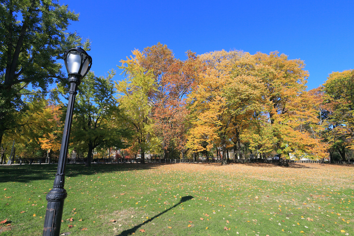 Crating Company in White Plains, NY - Mariano Brothers