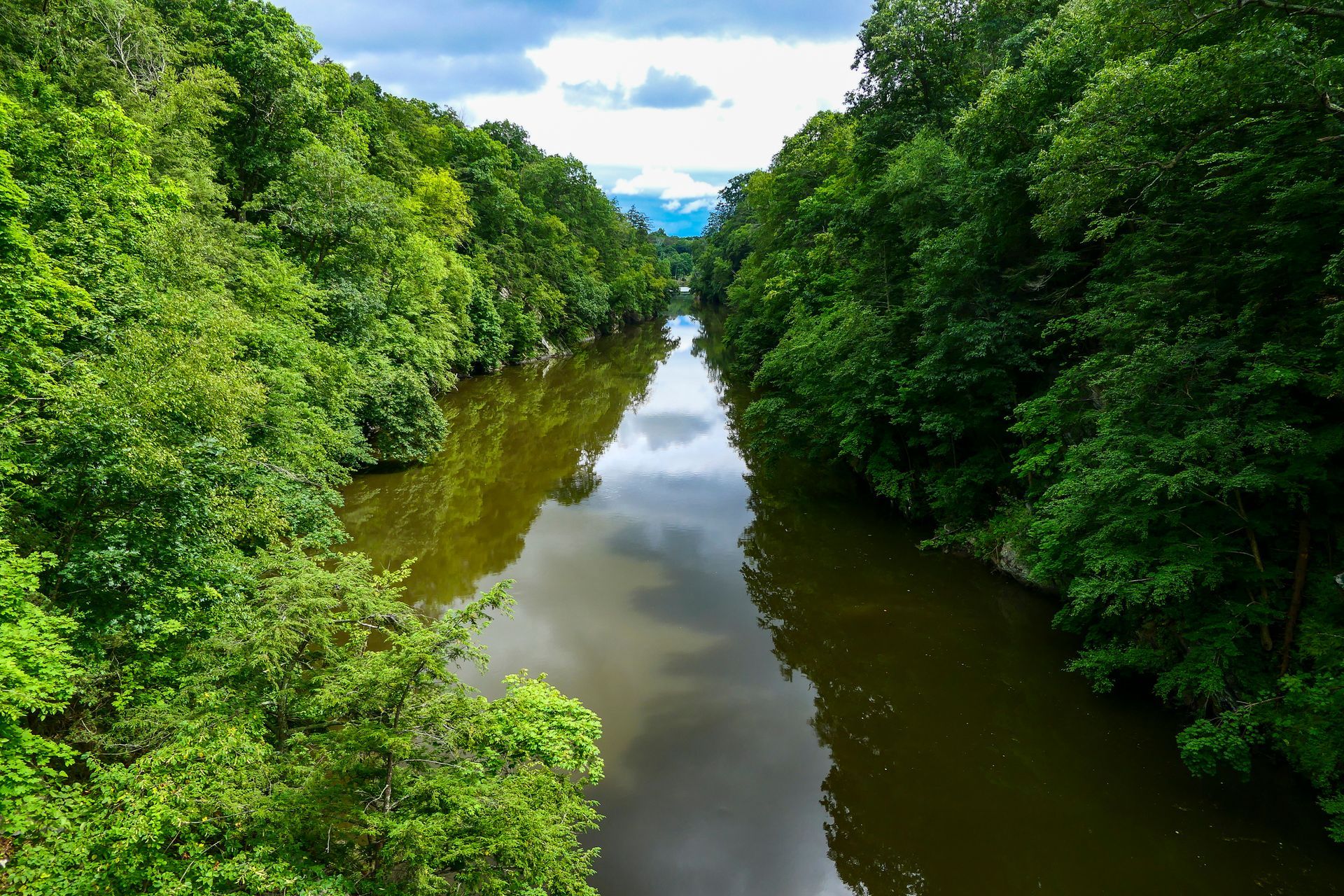 Rocky forest stream rushing over boulders beneath lush green trees