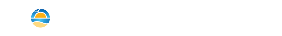 Chrome logo in the center on a white background