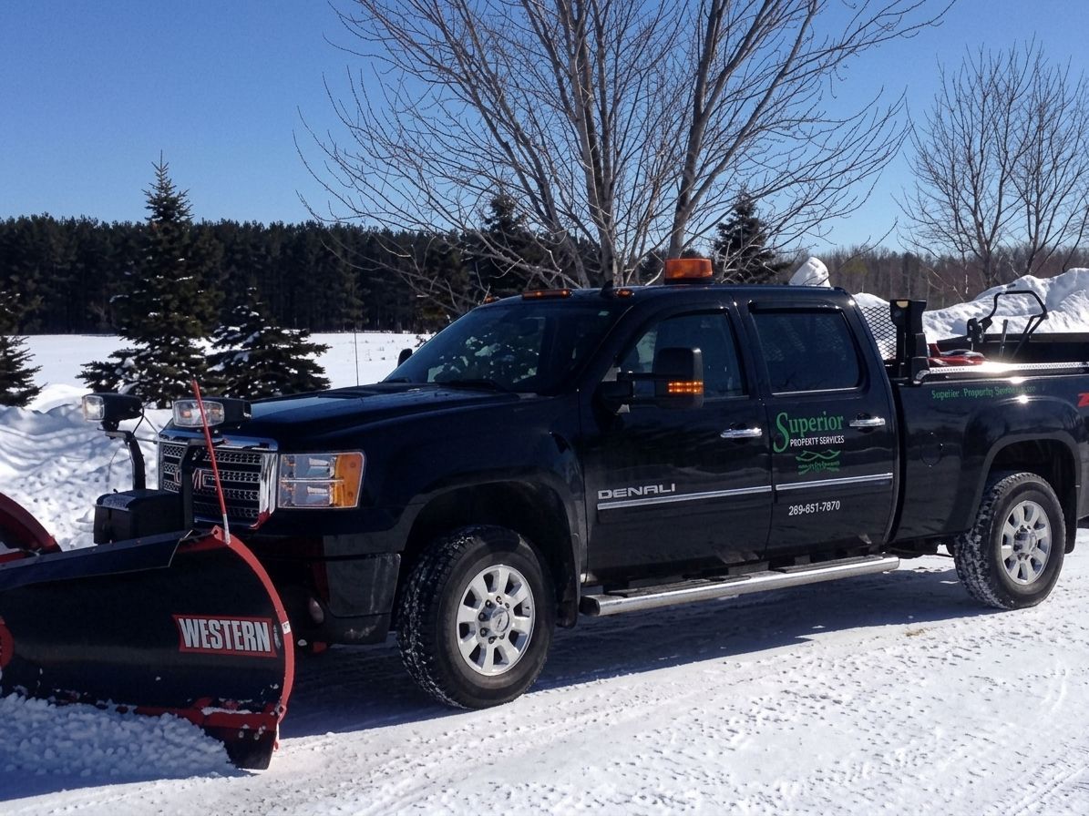 Black pickup truck with a snowplow attached, parked on a snowy road in winter.
