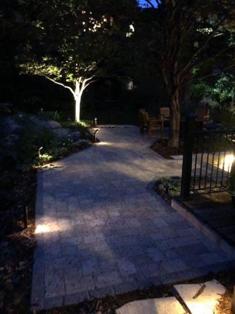 Dimly lit stone pathway in a garden at night, lined with trees and soft lights.