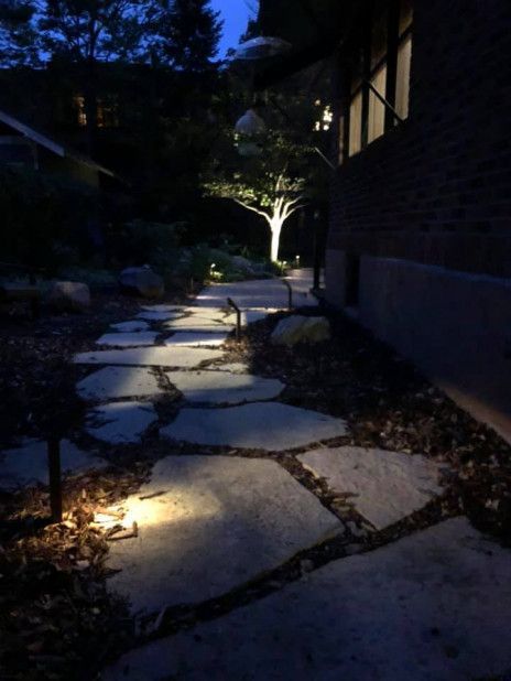 Dimly lit stone garden path at night with ground lights and trees.