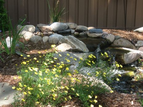 Rock garden with yellow flowers, stones, and a wooden fence in sunlight
