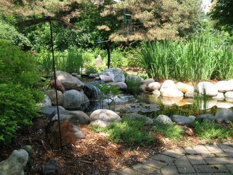 Garden pond with rocks, green reeds, and a small stream beside a stone path
