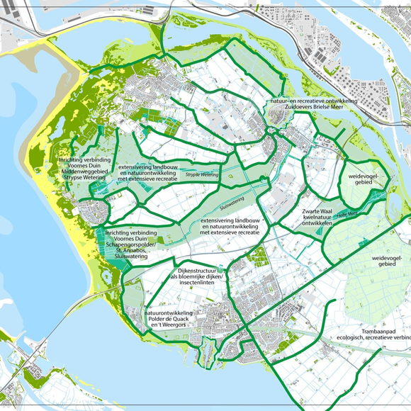 Visie Natuurlijke Bufferzones Voorne aan Zee