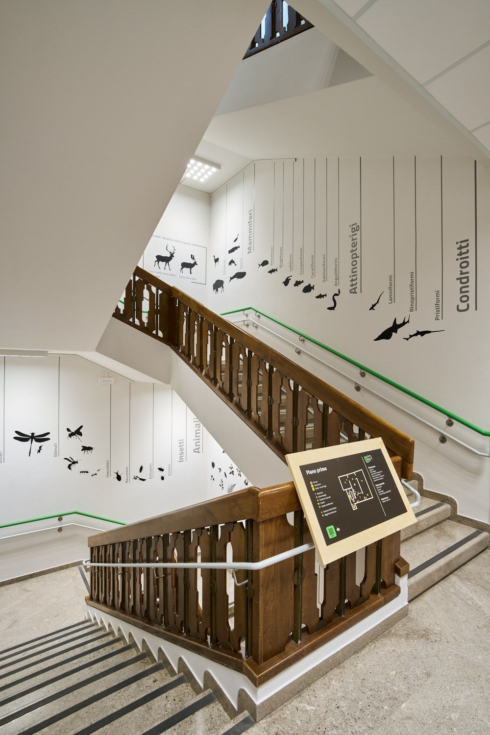 Museo di storia naturale, scala con grafica per l'orientamento e mappa visiva e tattile