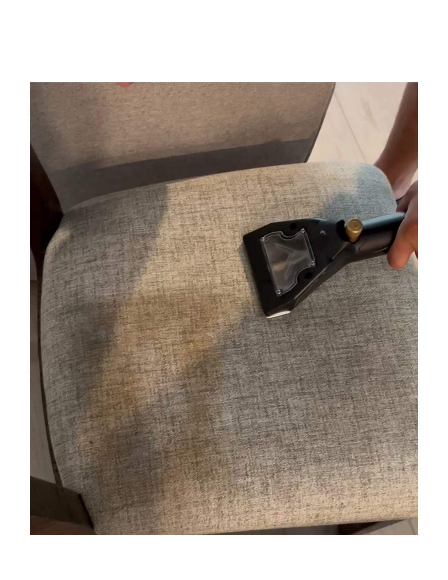 A professional in a white hazmat suit uses a steam cleaner on a carpet in a bright, modern room filled with plants.