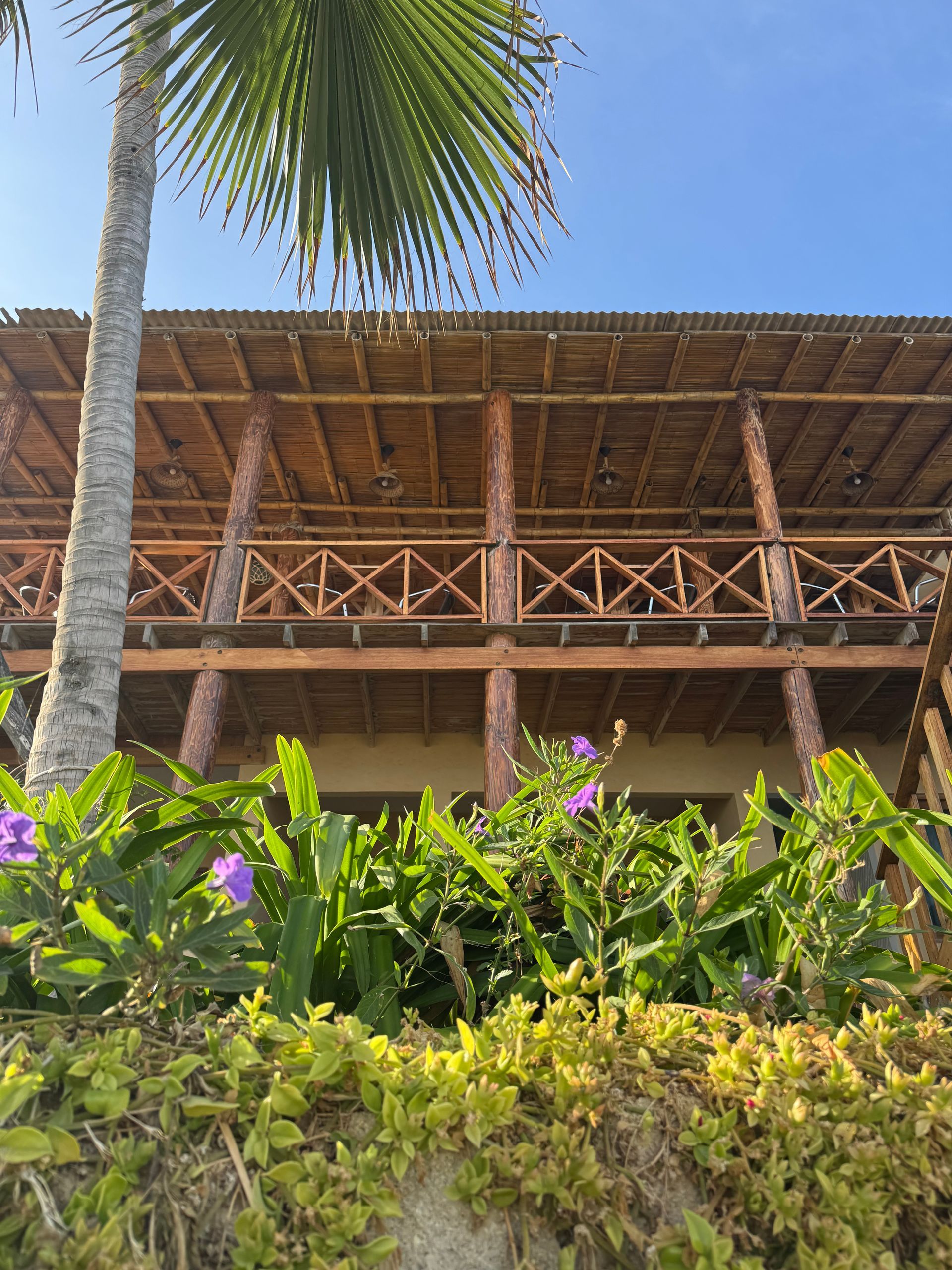 Two-story wooden building with balconies, palm tree, and purple flowers under a blue sky.