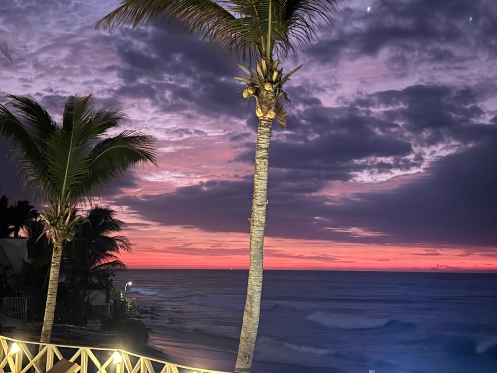 A sunset over the ocean with palm trees in the foreground
