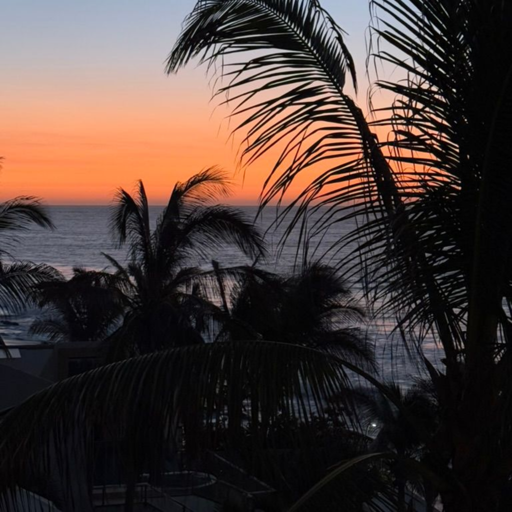 Sunset over the ocean with palm trees in silhouette, orange and blue hues.