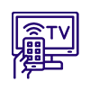 TV Installation Services TV Installation Services