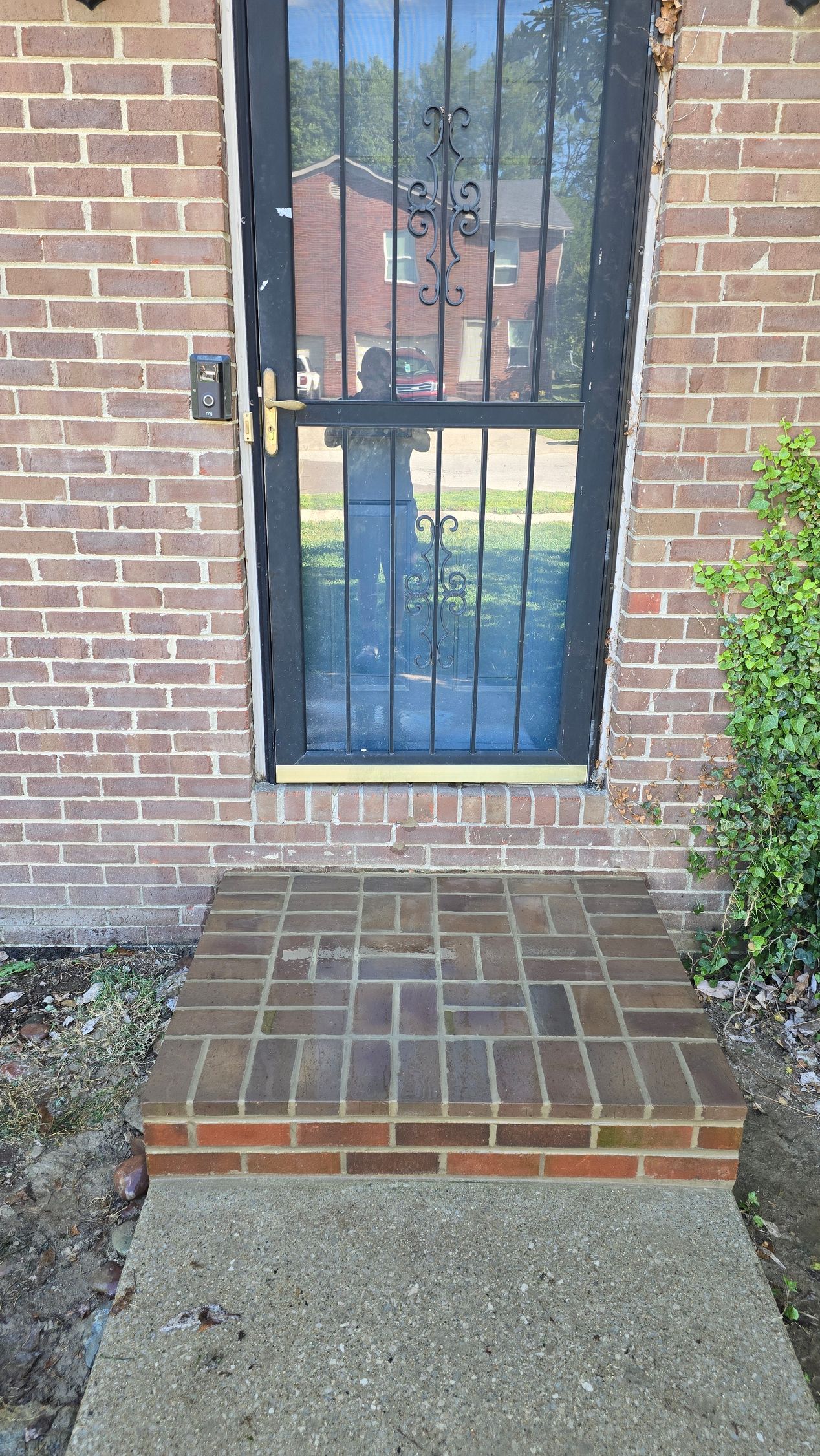 Brick step leading to a barred glass door with a narrow walkway and shrubs beside it