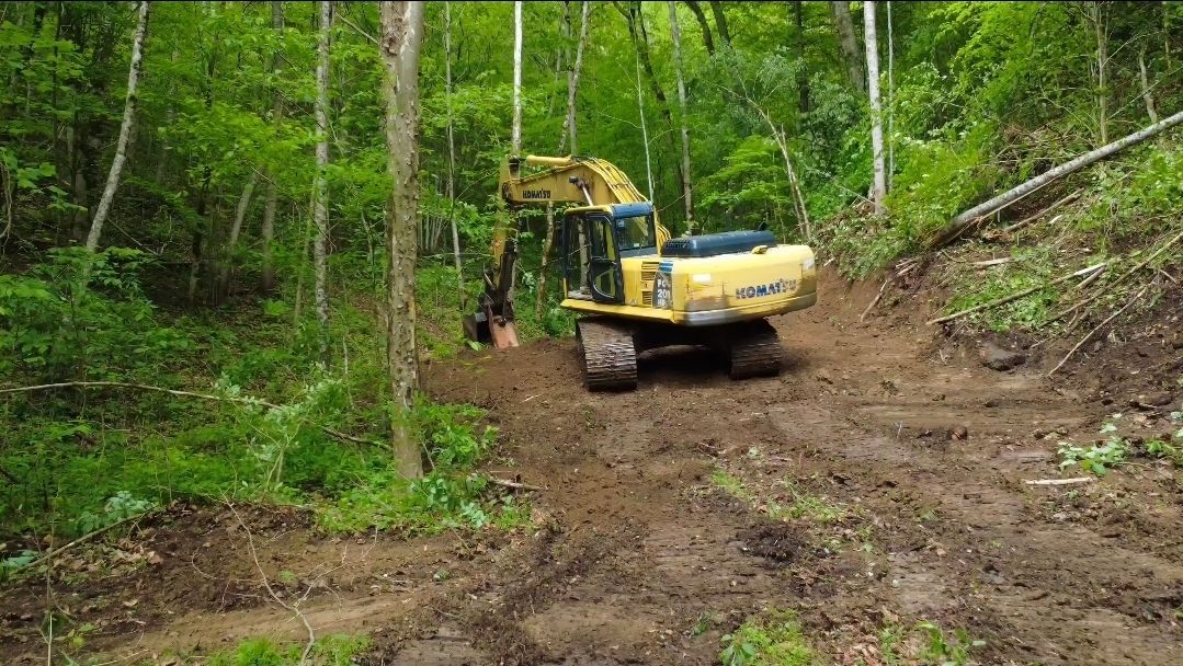 Yellow excavator on a muddy forest trail, clearing a dirt path among green trees