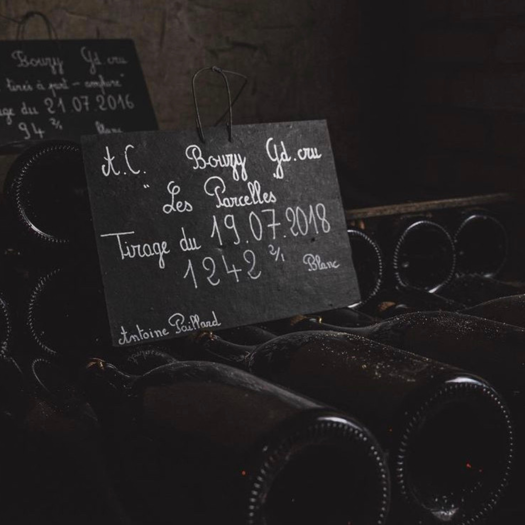 Champagne Cattier