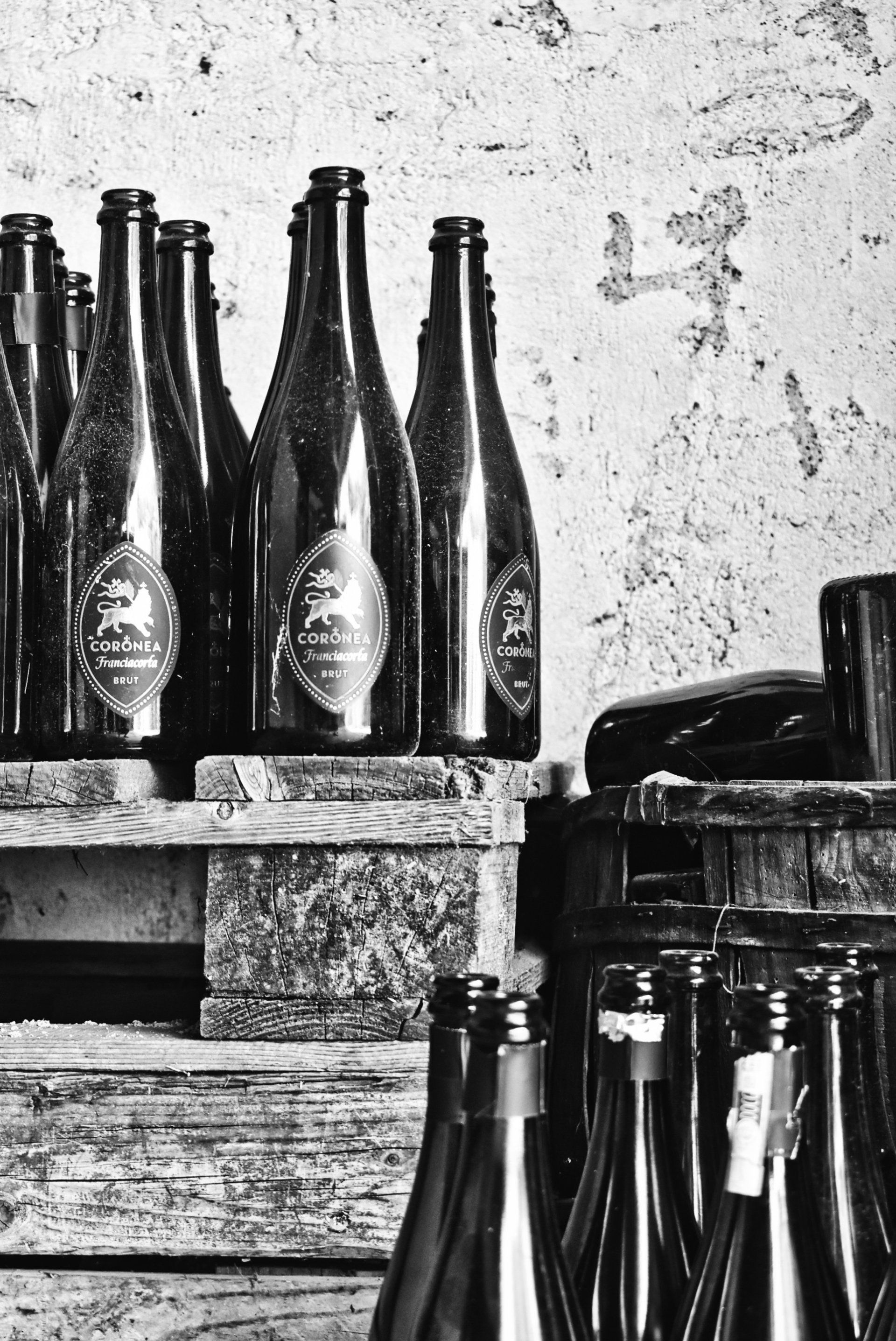 Maison Veuve Clicquot