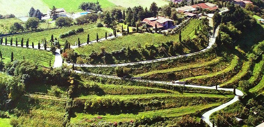 CORONEA FRANCIACORTA
