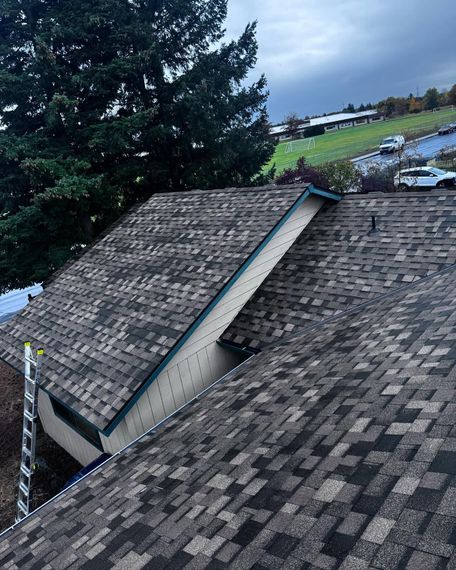 Shingled house roof with a large snowy valley, viewed beside a tall evergreen tree