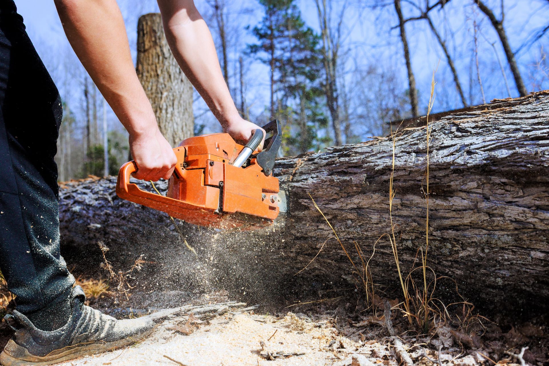 Person using an orange chainsaw to cut a fallen log outdoors, with sawdust flying