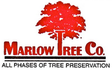 Marlow Tree Company Marlow Tree Company