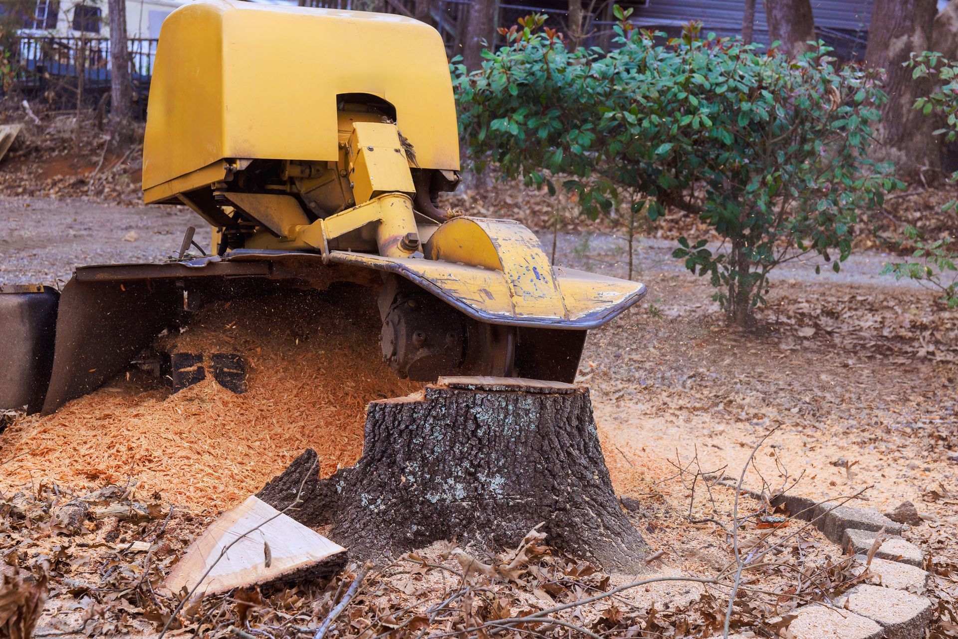 Yellow wood chipper spraying mulch in a yard near a tree stump and bushes