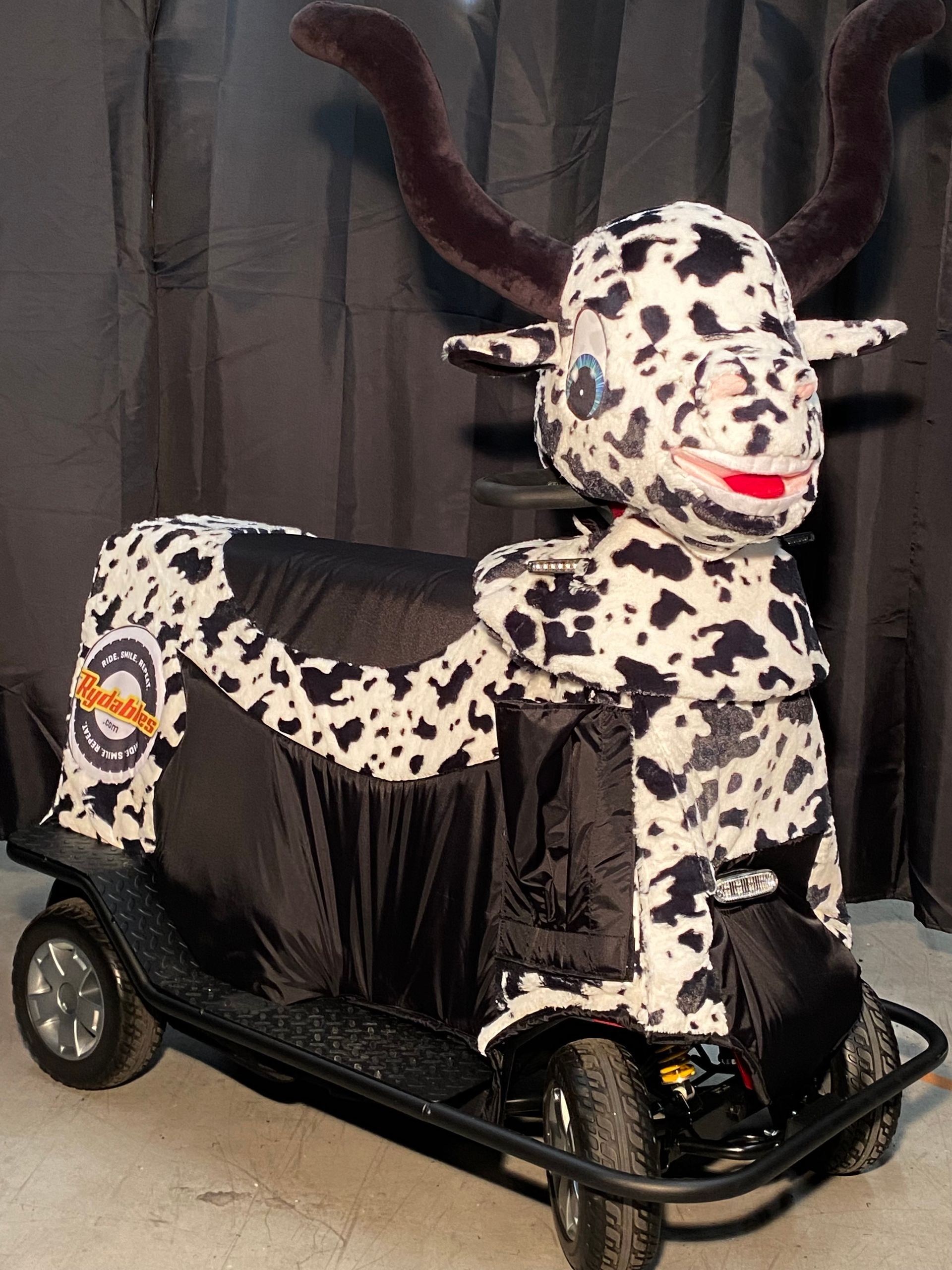 Lone Star Rydables Longhorn
