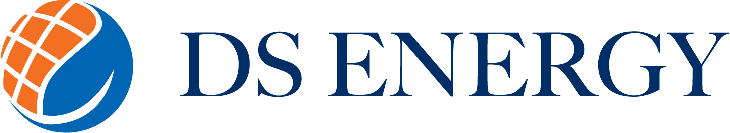 DS Energy logo with blue text and an orange-and-blue circular globe icon