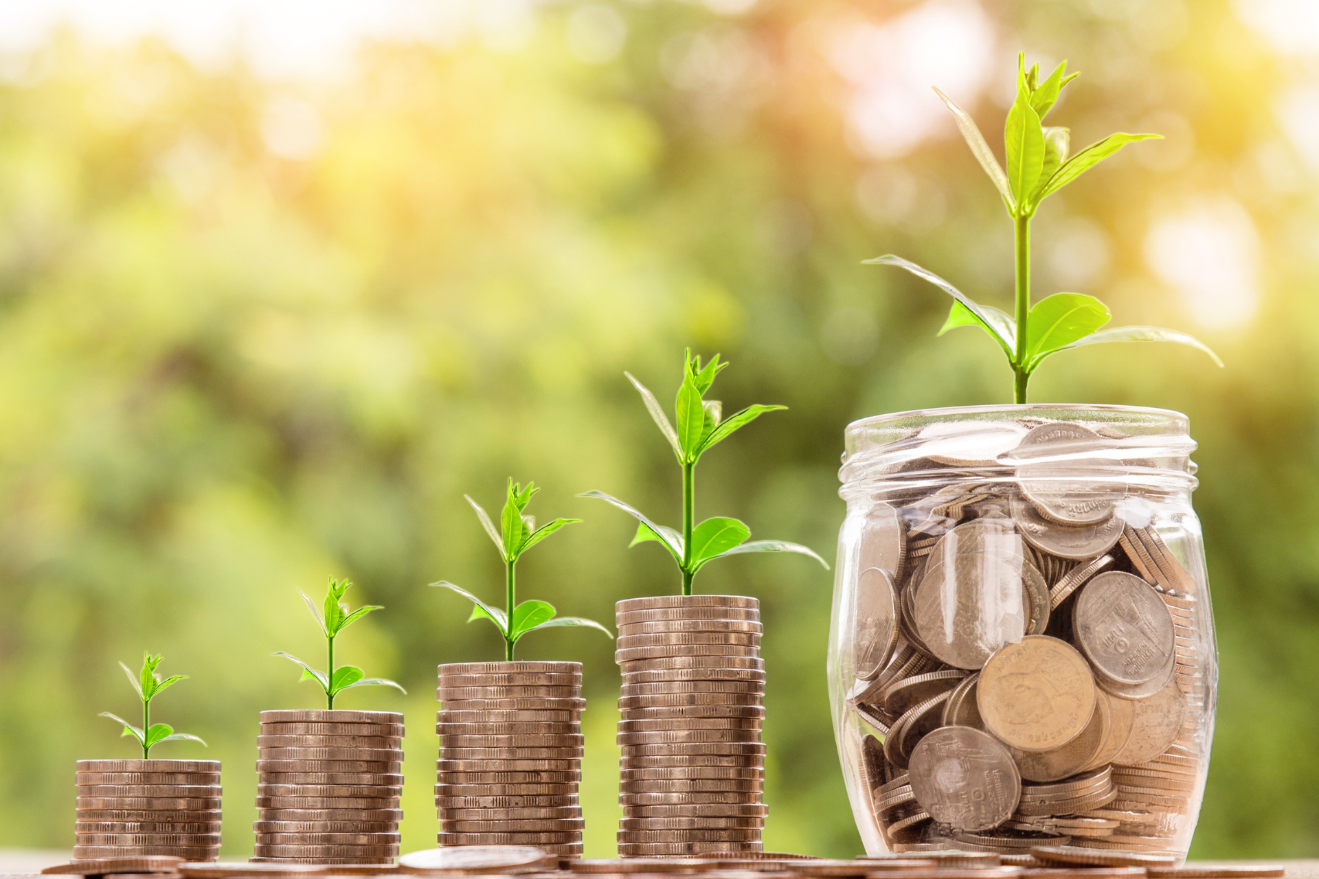 Plants growing out of money