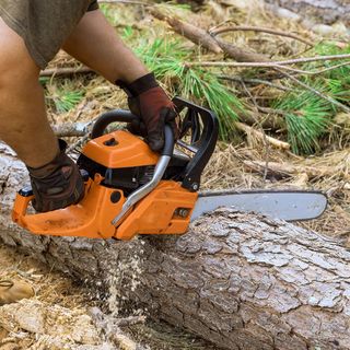 Tree Services