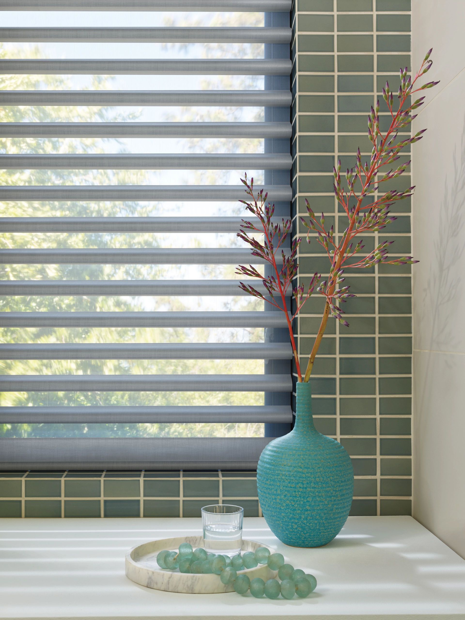 HUNTER DOUGLAS PIROUETTE SHADES