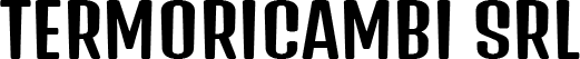 TERMORICAMBI - LOGO TERMORICAMBI - LOGO