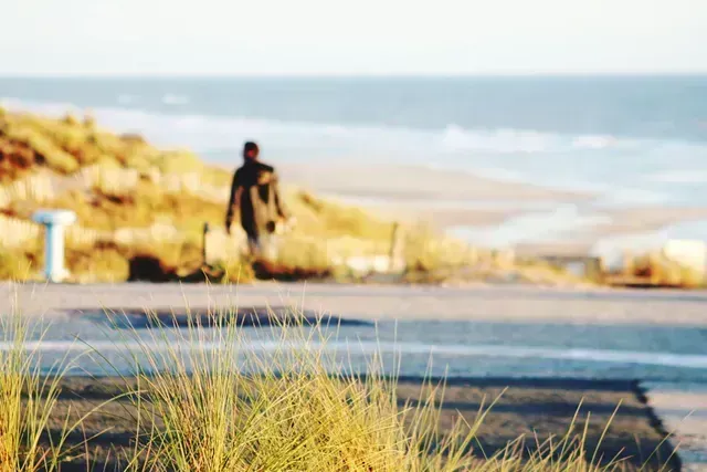 Person walking along a coastal road near the beach, with golden grass in the foreground