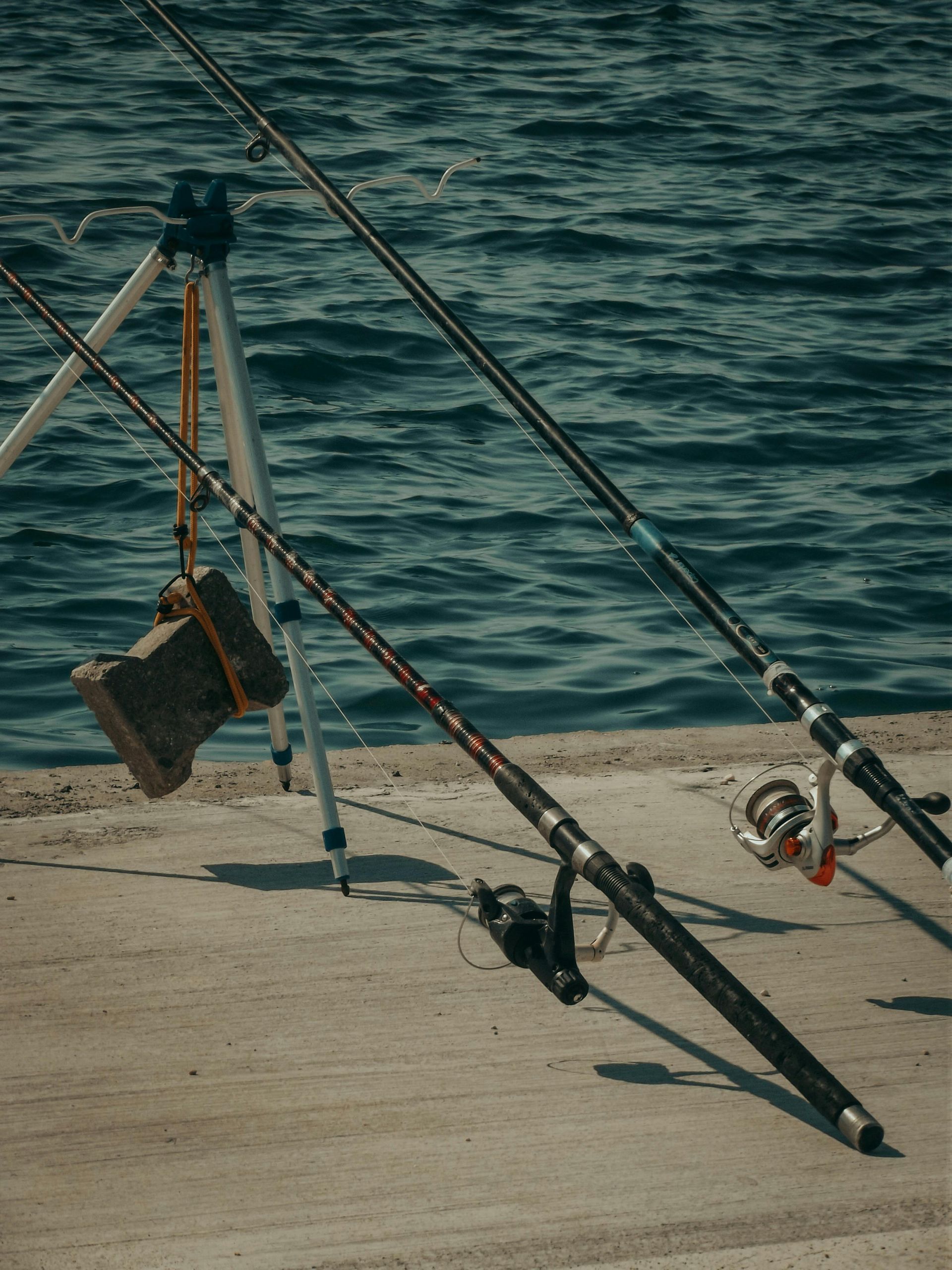 Fishing rods resting on a dock beside rippling water