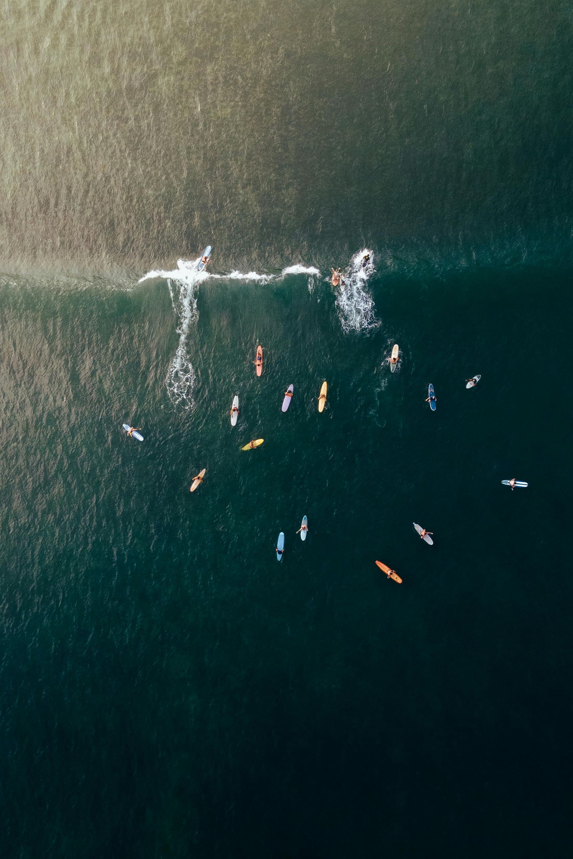 Several kayakers and swimmers in dark water near a foamy wake