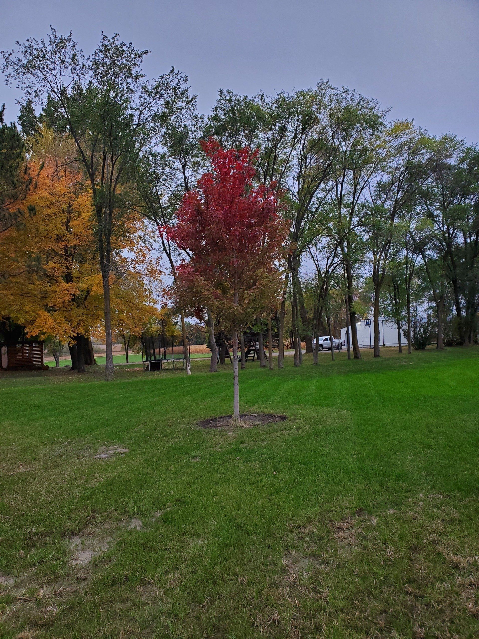 Wheelbarrow Near Flowerbed — Annandale, MN — OTS Grading and Landscaping LLC Wheelbarrow Near Flowerbed — Annandale, MN — OTS Grading and Landscaping LLC