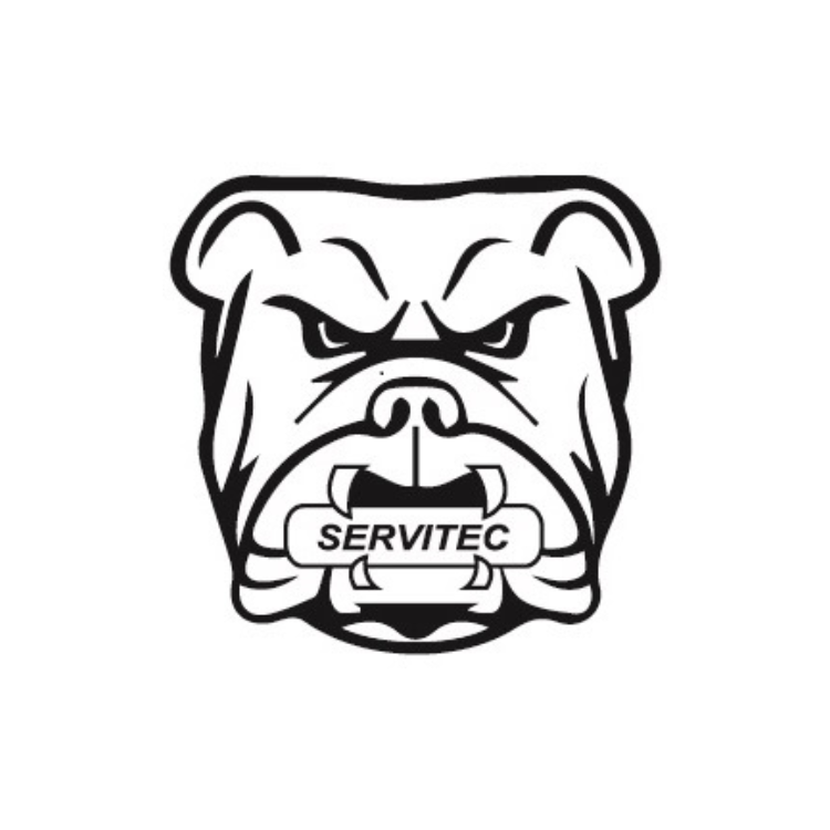 LOGO ISM SERVITEC GDL